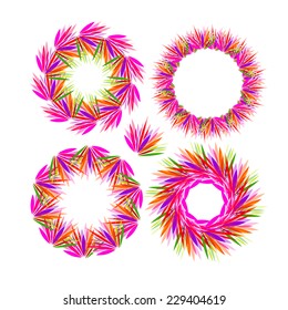 set colorful frame of petals. Vector