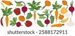 Set of colorful fresh vegetables. Vegetables vector icons. Autumn seasonal harvest. 