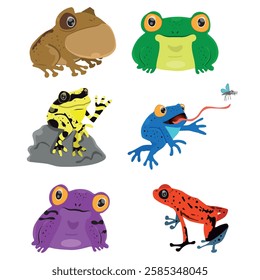 set of colorful frogs in various poses, vector illustration.