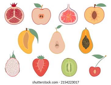 Set of colorful fruit halves, flat design icons collection. Strawberry, papaya, dragon fruit, mango, cherry, pear, fig, pomegranate, kiwi, peach, apple.
