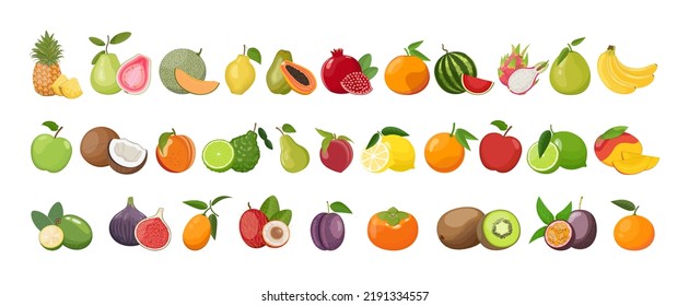 Set of colorful fruits of different seasons, vector illustration on white background
