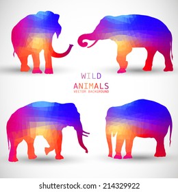 Set of Colorful Geometric Silhouettes of Elephant