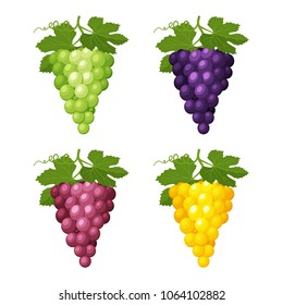 Set of colorful grapes icons with leaves on a white background. Design for a label, banner, poster. Vector illustration.