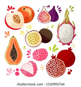 Set of colorful hand draw fruits - tropical sweet fruits isolated llustration. Peach, fig, passion fruit, pomegranate an lichee. Vector colored sketch isolated illustration. Juicy Fruit tropic