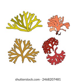 Set of colorful hand drawn algae vector graphic illustration. Collection of different aquatic plants isolated on white background. Natural drawing