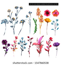 Set of Colorful hand drawn botanical flower from marker pen sketch in vector EPS 10 Stylish elements.