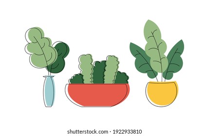 Set with colorful hand drawn flower pots. Sketch style, doodle plants. Botany illustration. Vector. Isolated