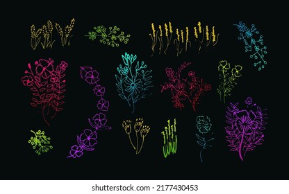 Set of Colorful Hand Drawn Flower Illustrations. Flowers and Leaves Illustration for Poster, Wedding, Greeting Card and Invitation Design. Nature Elements Vector