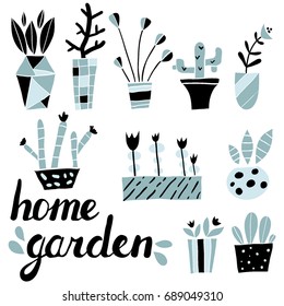 Set of colorful hand drawn flower pots and hand written text. Doodle plants. Botany illustration. Vector. Isolated