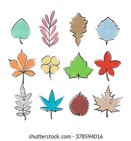 set of colorful, hand drawn leaf icons isolated on white background. vector leaves logo collection. thin line contour, seasonal design elements. natural plant symbol