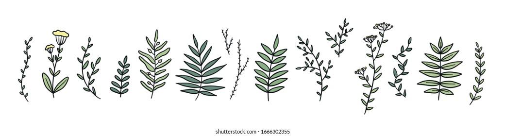 Set Of Colorful Hand Drawn Line Twigs. Stock Vector Illustration Isolated.