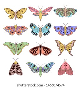 Set of colorful hand drawn moths and butterflies in doodle style on white background.