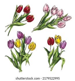 Conjunto de coloridos ramos de tulipanes dibujados a mano estilo boceto, ilustración vectorial aislada en fondo blanco. Flores rosas, rojas, violetas y amarillas. Elemento de diseño de esquema