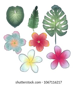 Set of colorful handdraw watercolor tropical leafs and flower on white background