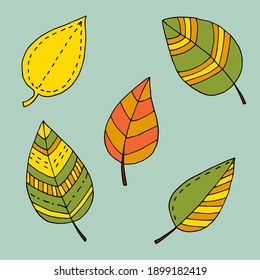 Set of colorful hand-drawn autumn leaves. Doodle vector illustration.