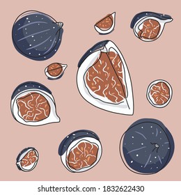 Set of colorful hand-drawn figs. Bright colors, aesthetic theme. Flat style for your design, package, poster, decor. All elements are isolated. Illustration on a pink background. Fig slice, whole fig 