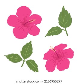 Set of colorful hibiscus with leaves. Summer floral design for decor, poster, flayer, banner print. Flat vector illustration isolated on white background