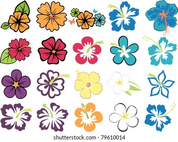 441,600 Hawaii flowers Images, Stock Photos & Vectors | Shutterstock