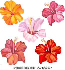 set of colorful hibiscus.tropical flowers.vector