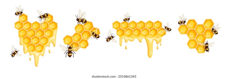 Set of colorful honeycombs with honey bees.Vector graphics.