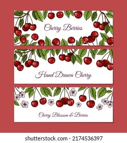 Set of colorful horizontal cherry designs. Vector illustration in colored sketch style