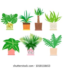 Set of colorful houseplants in pots standing in line. Home decorative plants