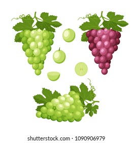 Set of colorful icons of grapes. Bunches of grapes, cut berries, seeds. Design for a label, banner, poster. Vector illustration.