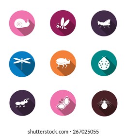 A set of colorful icons isolated insects for your design