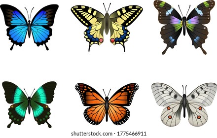set of colorful isolated butterflies