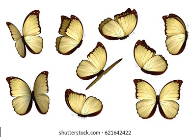 Set colorful isolated butterflies 