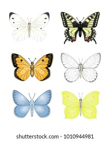 Set colorful isolated butterflies. Insects  Vector illustration