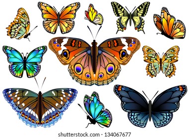 Set of colorful isolated butterflies.Vector illustration