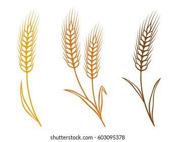 set of colorful isolated wheat ears icons with grain