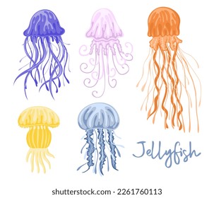 Set of colorful jellyfishes. Marine dwellers. Concept of sea and ocean life. Vector illustration