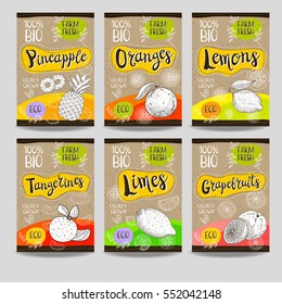 Set of colorful labels, sketch style, food, spices, cardboard texture. Pineapple, orange, lemons, tangerines, limes, grapefruits. Fruit, vegan, naturally, fresh, eco. Hand drawn vector illustration.