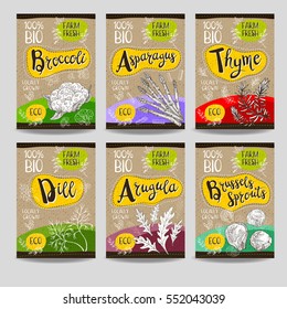Set of colorful labels, sketch style, food, spices, cardboard texture. Asparagus, brussels sprouts, broccoli, thyme, arugula, dill. Vegetables, farm fresh, organic product. Hand drawn vector.