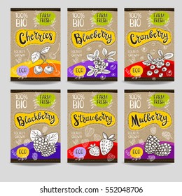 Set of colorful labels, sketch style, food, spices, cardboard texture. Cherries, strawberry, blueberry, cranberry, blackberry, mulberry. Organic, fresh, bio, eco. Hand drawn vector illustration.