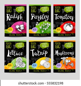 Set of colorful labels in sketch style, food, spices, black background. Radish, parsley, tomatoes, lettuce, turnip, mushrooms. Vegetables, farm fresh, locally grown. Hand drawn vector illustration.