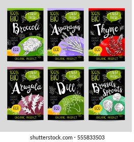 Set of colorful labels, sketch style, food, spices, black background. Asparagus, brussels sprouts, broccoli, thyme, arugula, dill. Vegetables, farm fresh, organic product. Hand drawn vector.