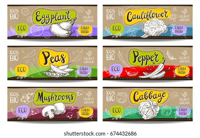 Set of colorful labels sketch style food spices cardboard texture horizontal Cauliflower, eggplant, peas, mushrooms, pepper cabbage. Vegetables farm fresh locally grown. Hand drawn vector illustration