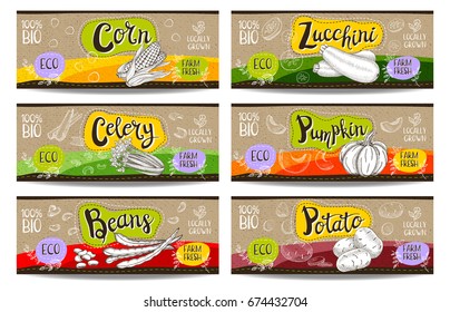 Set of colorful labels sketch style food spices cardboard texture horizontal. Pumpkin, zucchini, corn, celery, potato, beans. Vegetables, farm fresh. locally grown. Hand drawn vector illustration.
