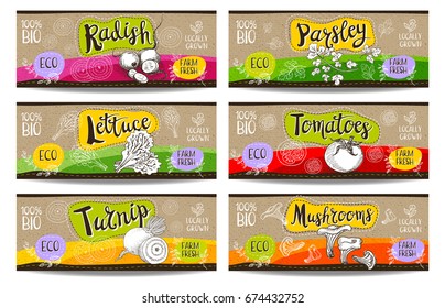 Set of colorful labels sketch style food spices cardboard texture horizontal. Radish, parsley, tomatoes, lettuce, turnip, mushrooms. Vegetables farm fresh locally grown. Hand drawn vector illustration