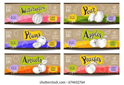 Set of colorful labels sketch style food spices cardboard texture horizontal. Watermelon, pear, apples, plums, peaches, apricots. Organic fresh bio eco. Hand drawn vector illustration