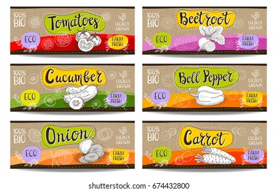 Set of colorful labels sketch style, food, spices cardboard texture horizontal. Carrot, onions, tomato, bell pepper, beet. Bio vegetables, farm, fresh locally grown. Hand drawn vector illustration