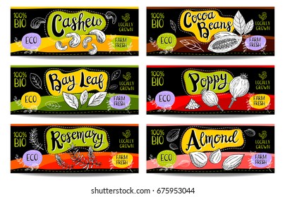 Set of colorful labels, sketch style, food, spices, black, horizontal. Cashew, poppy, cocoa beans, almond, bay leaf, rosemary. Vegetables, farm fresh, locally grown. Hand drawn vector illustration.