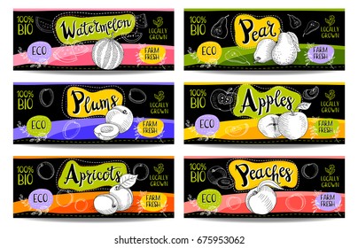 Set of colorful labels in sketch style, food, spices, black, horizontal. Watermelon, pear, apples, plums, peaches, apricots. Organic, fresh, bio, eco. Hand drawn vector illustration.