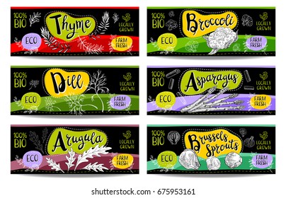 Set of colorful labels sketch style food spices black horizontal. Asparagus brussels sprouts broccoli thyme arugula dill. Vegetables farm fresh locally grown product Hand drawn vector illustration