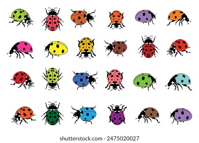 Set of colorful ladybugs. summer winged insect Vector template Ladybug isolated on white background