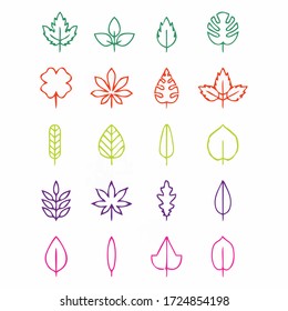 Set of colorful leaf and plant line art vector.