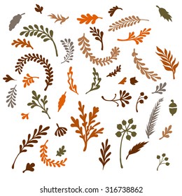 set  of colorful leaves and plants. Vector illustration. doodle style